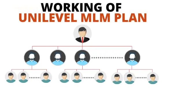 How does the Unilevel MLM plan works MLM software company Malaysia by Mlmsoftwarecompany My Medium